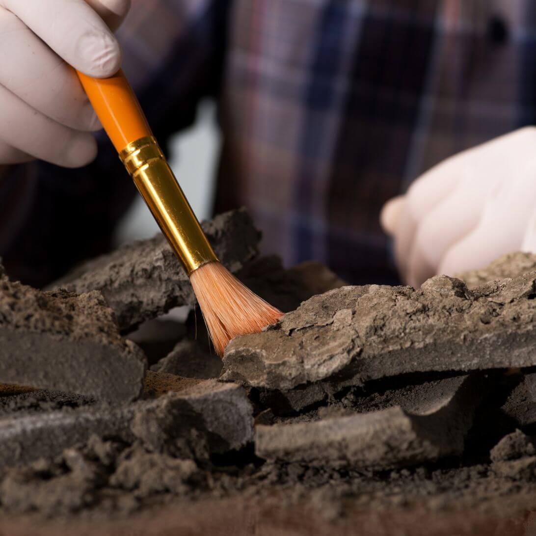 Persoon onderzoekt vondsten die mogelijk onderdeel zijn van een matras van de Neanderthalers