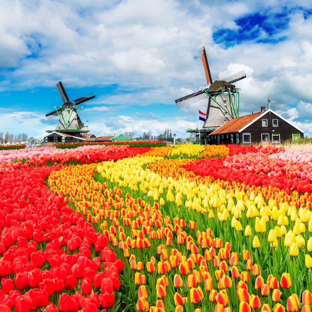 Nederlanders slapen goed
