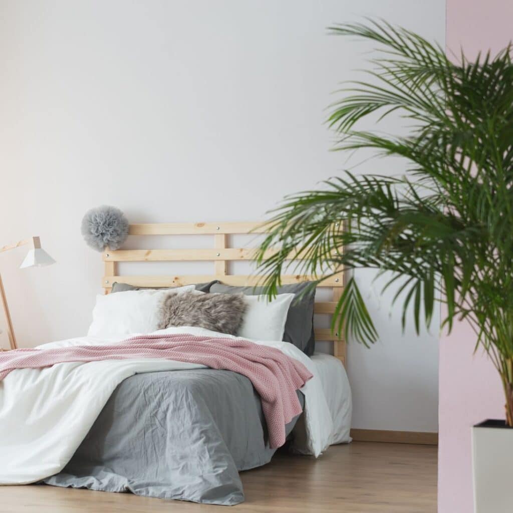 Slaapkamer met slaapkamerplanten