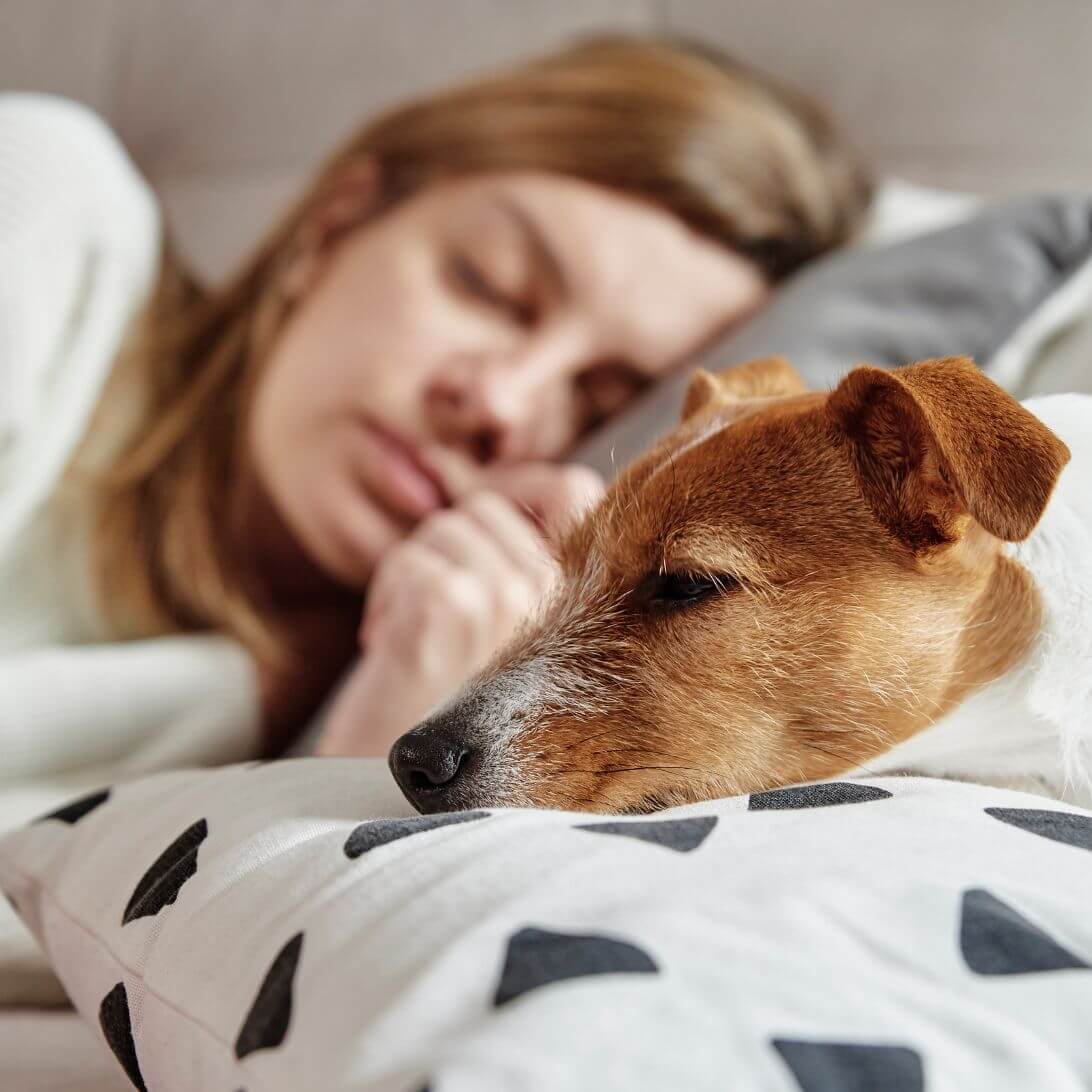 Vrouw en hond slapen samen in bed